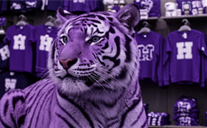 Spirit Wear